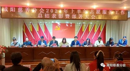 志愿溫情灑咸陽——咸陽市慈善志愿者分會大型活動組織服務(wù)紀(jì)實(shí)